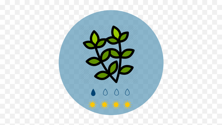 Summer Herb Thyme Icon - Charlie Carp Png,Possum Icon