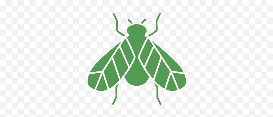 San Diego Wasp Control U0026 Removal - From 1 Per Day Png,Fly Repellent Icon