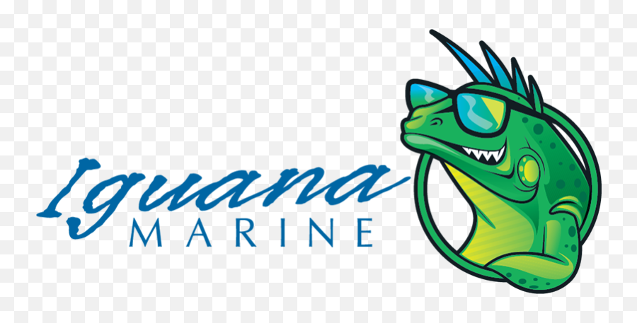 Privacy - Iguana Marine Png,Iguana Icon