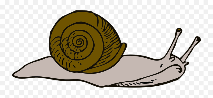 Move Snail Long - Free Vector Graphic On Pixabay Snail Clipart Free Png,Moving Png