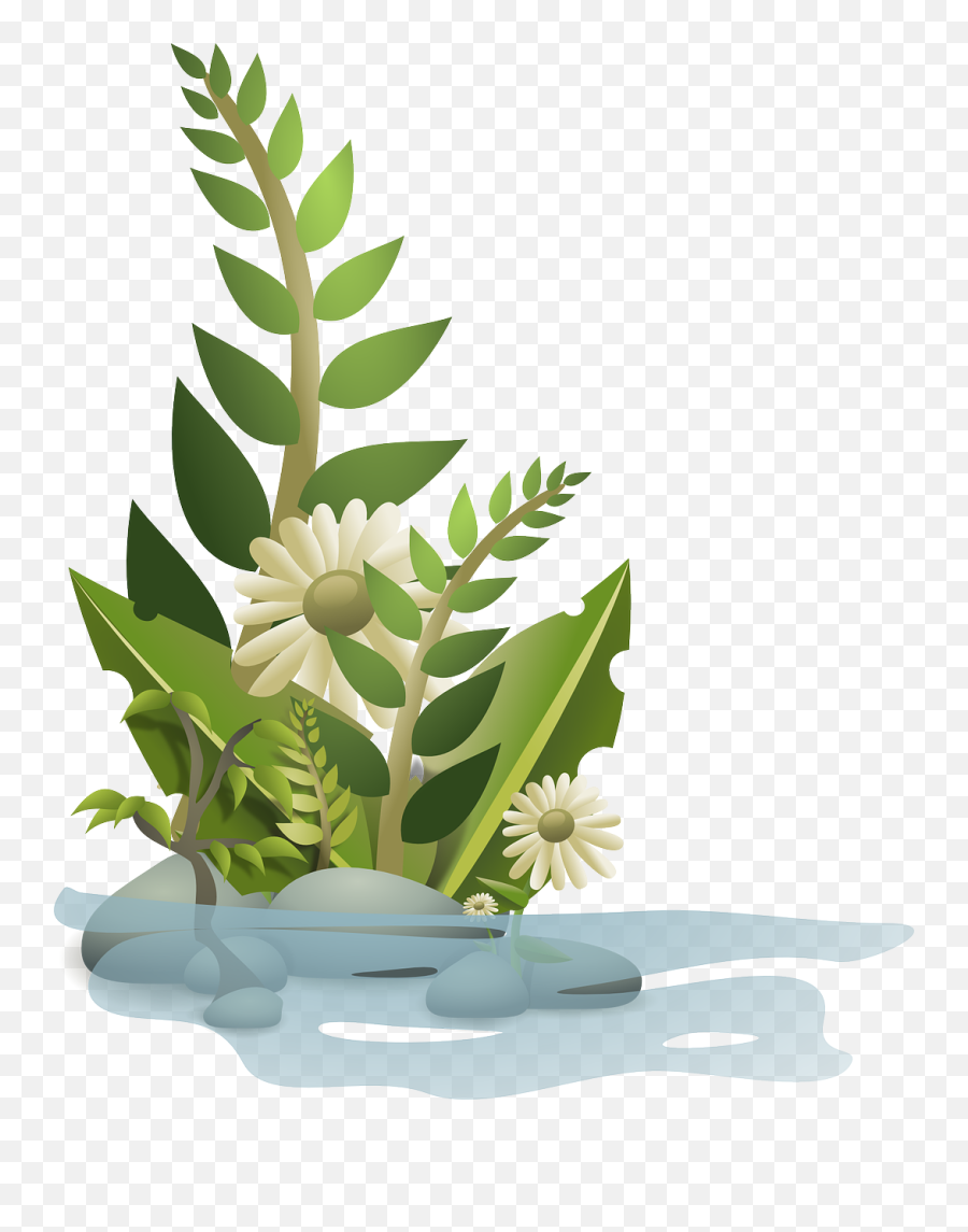 Vector Graphics Of Selection Plants In Water Free Svg - Cartoon Flower Plants Png,Plant Transparent