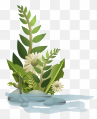 Vector Graphics Of Selection Plants In Water Free Svg - Cartoon Flower Plants Png