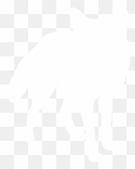 White Fox Icon - Free white animal icons Animal Icon Png