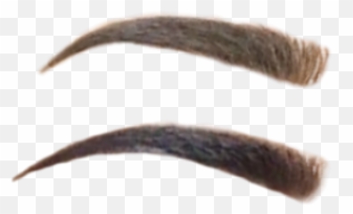 Picture - Png