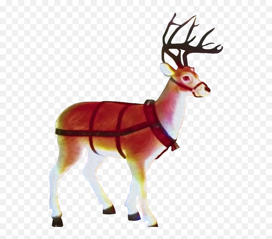 If Anyone Wants Heres A Transparent - Reindeer Png,Reindeer Transparent