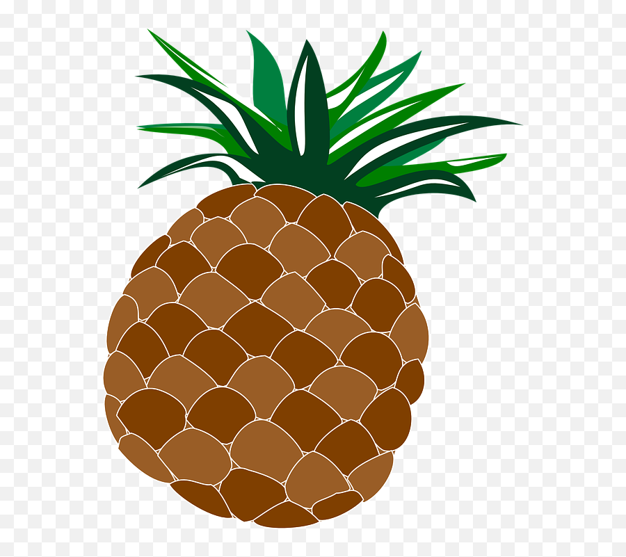 Luau Food Png Transparent - Green Pineapple,Luau Png