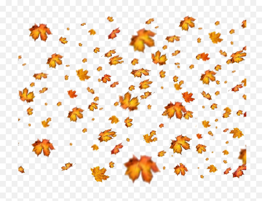 Leaves Png Images Transparent Free Download Pngmartcom - Autumn Fall Leaf Png,Thanksgiving Leaves Png