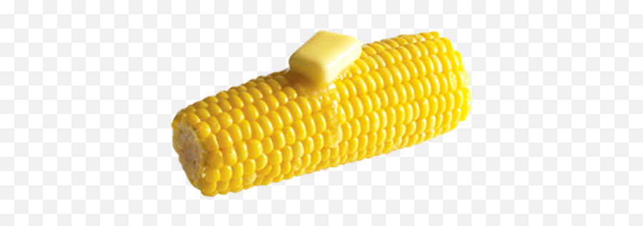 Download Free Png Corn Cob - Corn On The Cob Png,Corn Cob Png