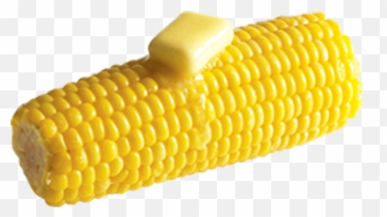 Download Free Png Corn Cob - Corn On The Cob Png,Corn Cob Png
