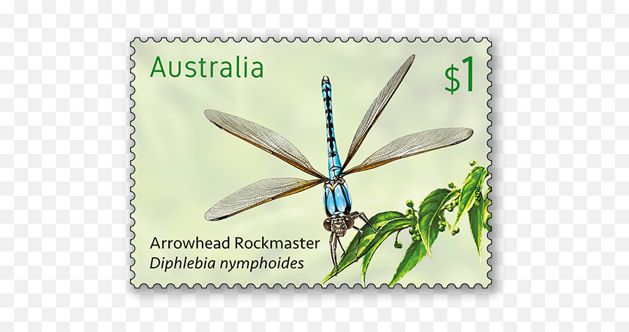 Dragonflies - Stamp Collecting Month 2017 Stamps Australia Dragonfly Png,Dragonfly Transparent Background