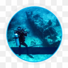 Scuba Dive Sites - Sandals Bahamas Scuba Png,Scuba Diver Png