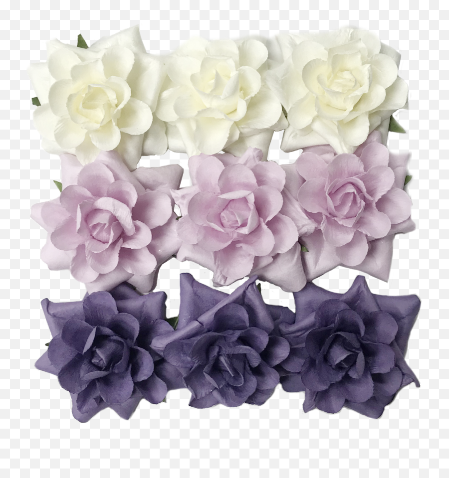 Flr - 065 Paper Flowercream Pink Purple Garden Roses Png,Paper Flower Png