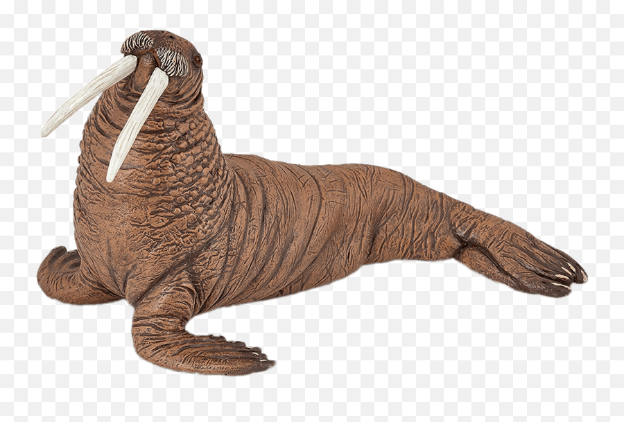 Walrus Figurine Transparent Png - Walrus Png Transparent,Walrus Png