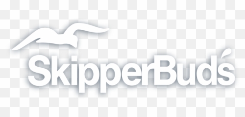 New 2019 Starcraft 221starstepeio For Sale - Skipperbuds Logo Png,Starcraft Logo