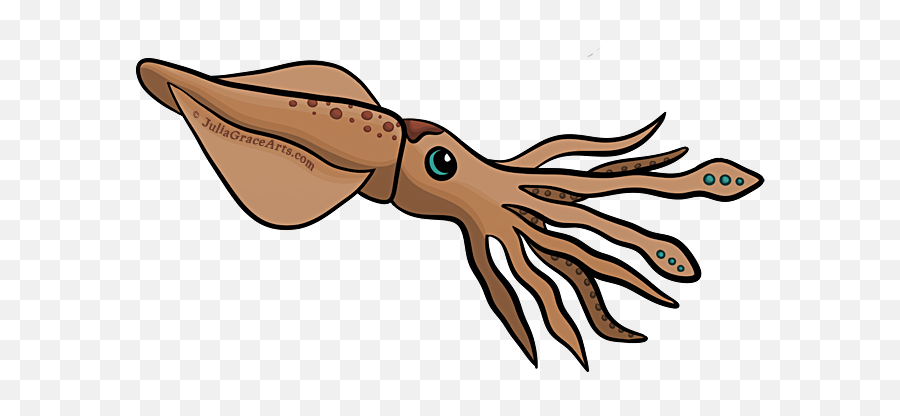 Cartoon Picture Of Squid - Cartoons Drawings Of Squid Png,Squid Png