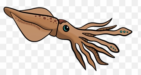 Cartoon Picture Of Squid - Cartoons Drawings Of Squid Png,Squid Png