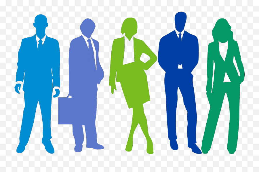 Overview - Silhouette Professional People Png,Professional Png