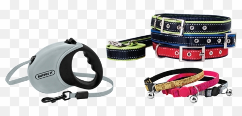 Dog Collars Leashes Harnesses - Dog Collars Harnesses Leashes Png,Dog Collar Png