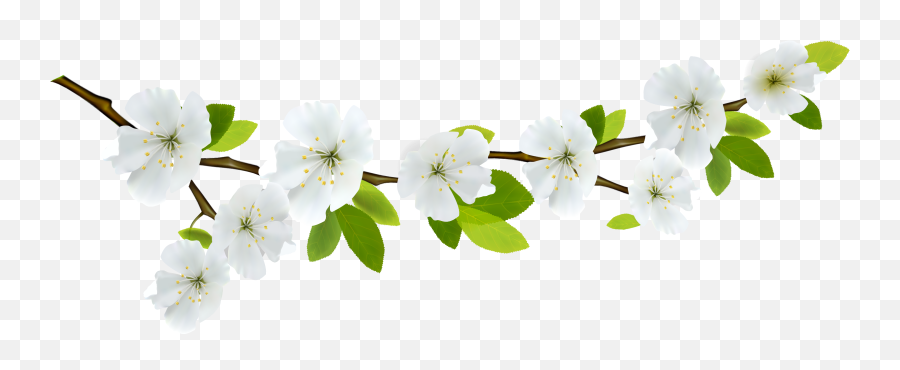 Clipart Spring Transparent Background - Transparent Background White Flowers  Png,Spring Background Png - free transparent png images 