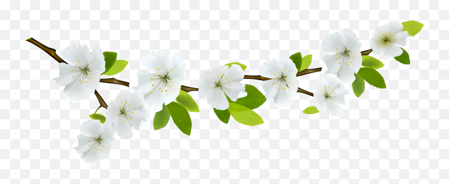 spring background clipart