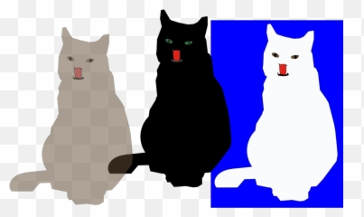Black Cat Paw Small To Medium Sized - png