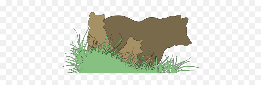Yogi Bear Photo Background Transparent Png Images And Svg - Brown Bear,Yogi Bear Png