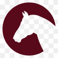 Education Events Montana Horse - Head Icon png