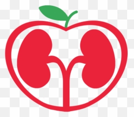 My Healthy Kidney - png