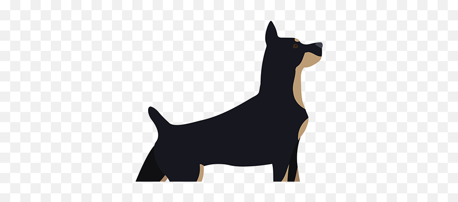 Dog Icons Behance - Vulnerable Native Breeds Png,Doberman Icon