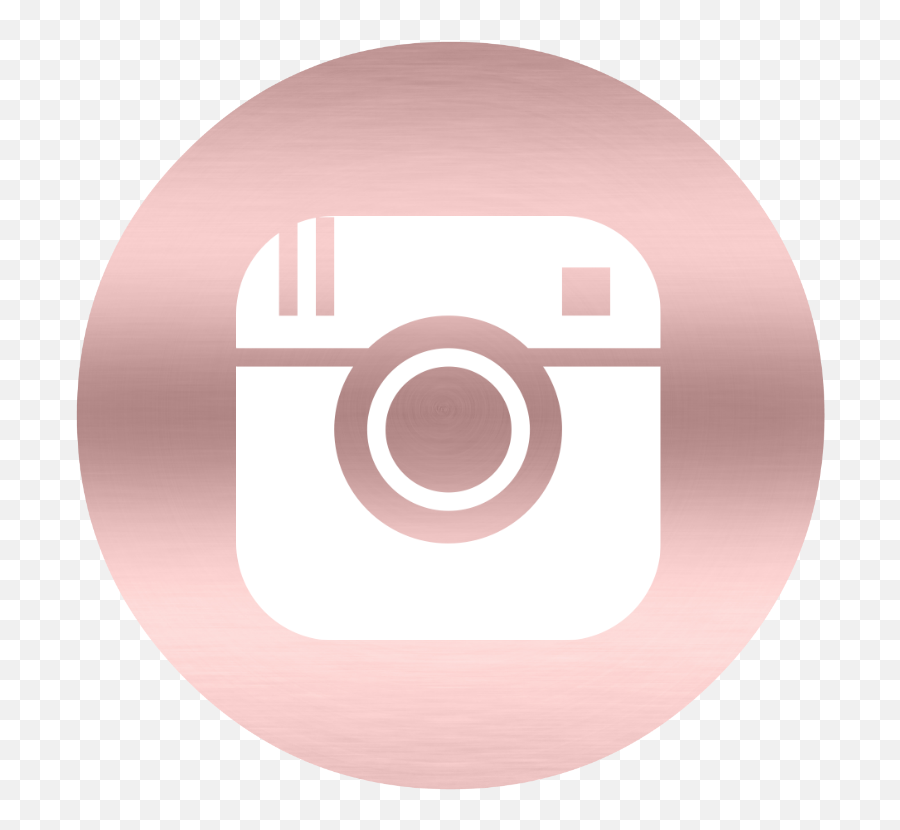 Social Media Icon Set U2014 Ladies Of Real Estate - Los Flamencos Nature Sanctuary Png,Gold Camera Icon