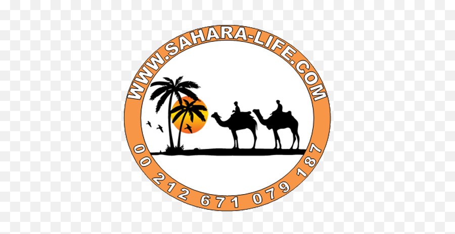 Morocco Camel Trekking Png Logo