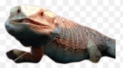 Bite Tongue Out Sticker - Prey Discover png