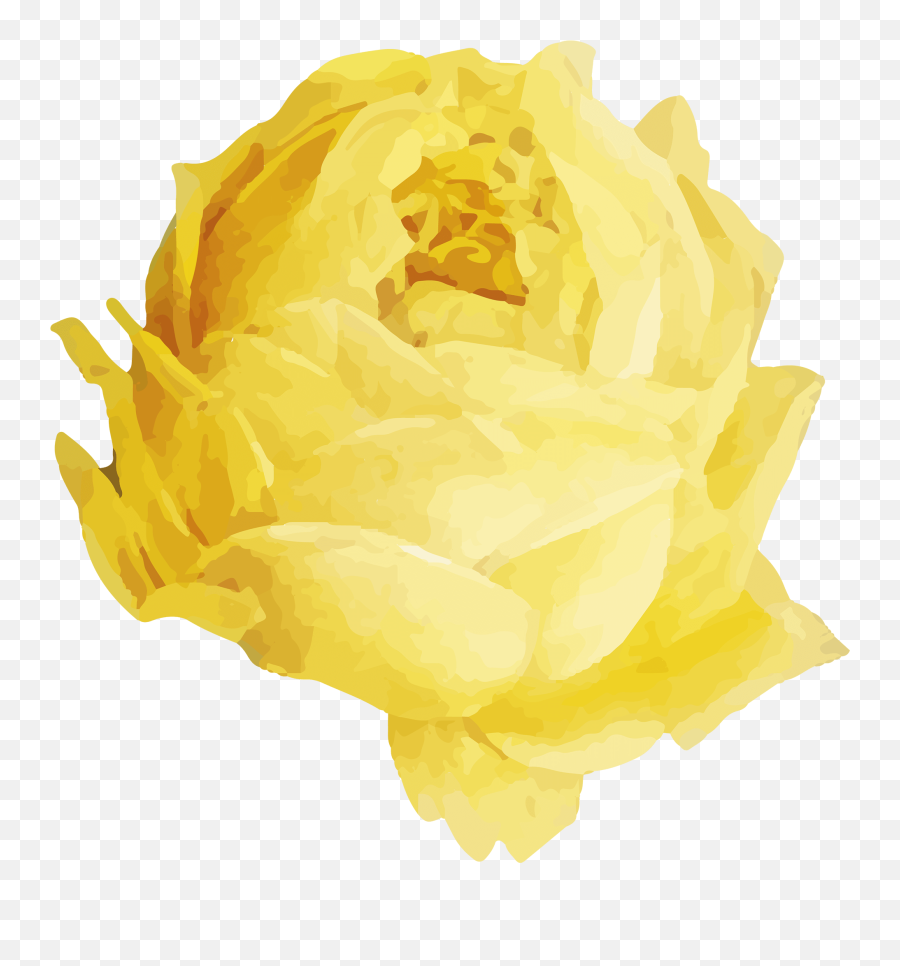 450 Valentine Day Png Ideas In 2022 Valentines Happy Yellow Rose Icon