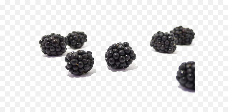 Blackberry Png 4 Image - Black Berry Fruit Image Png,Blackberry Png