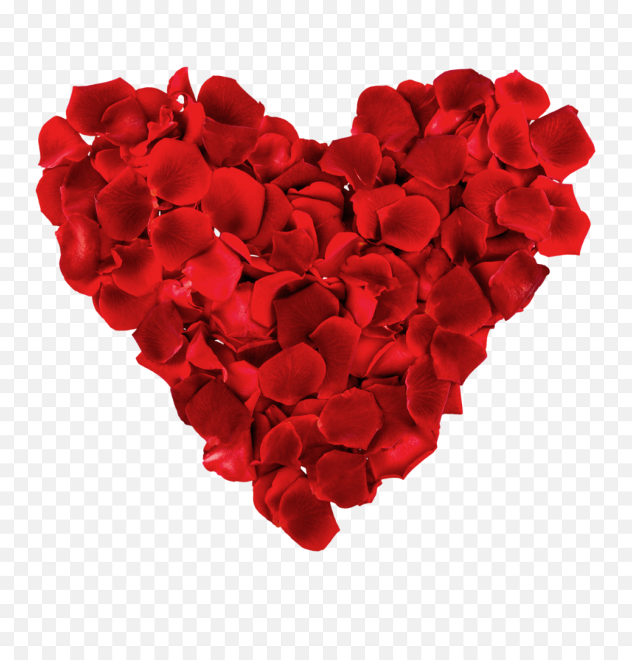 Hd Rose Petals - Rose Love Heart Png Transparent Cartoon Valentines Day Pic 2020,Love Heart Png
