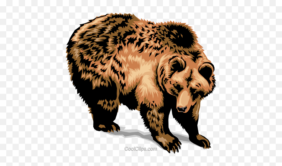 Grizzly Bear Clipart Png - Mr Heinricks Longwood High School,Grizzly Bear Png