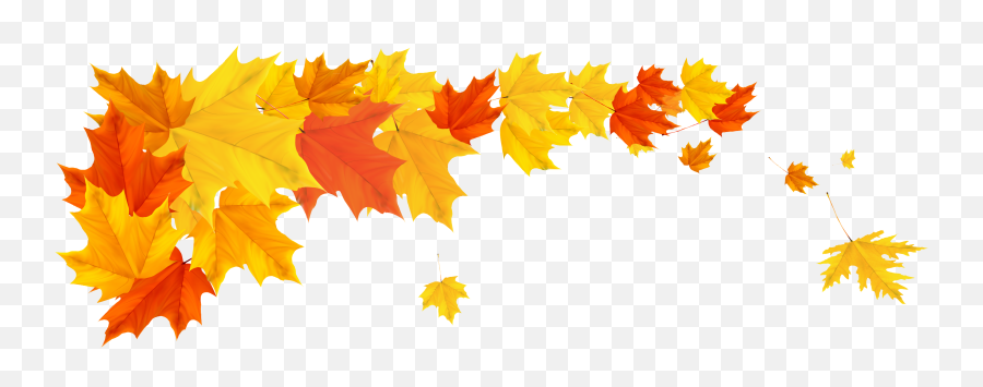 Orange Fall Leafs Png Clipart Picture - Transparent Fall Leaves Border,Leaves Clipart Png