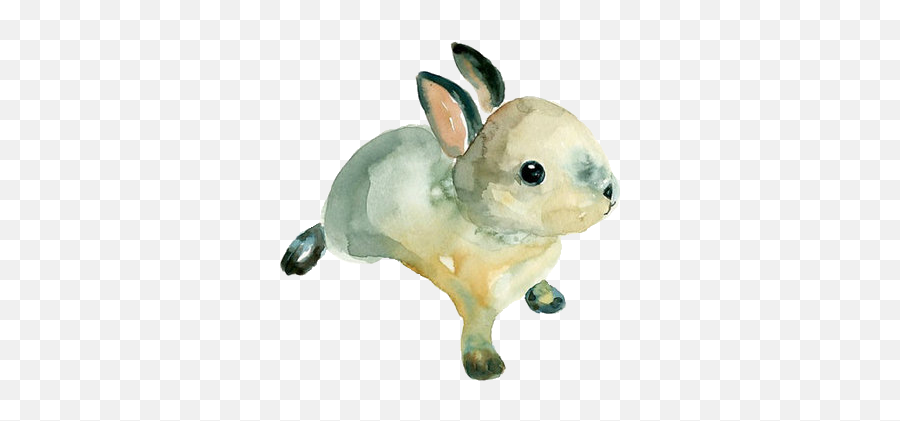 Bun Discovered By Gabi - Simple Watercolor Animals Png,Rabbit Transparent
