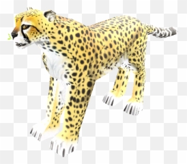 Download Hd Zip Archive - Cheetah Transparent Png Cheetah,Cheetah Png