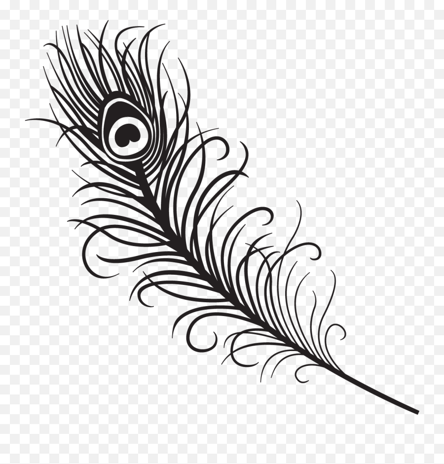Clipart Peacock Feather Logo - Peacock Feather Black And White Png,Feather Logo