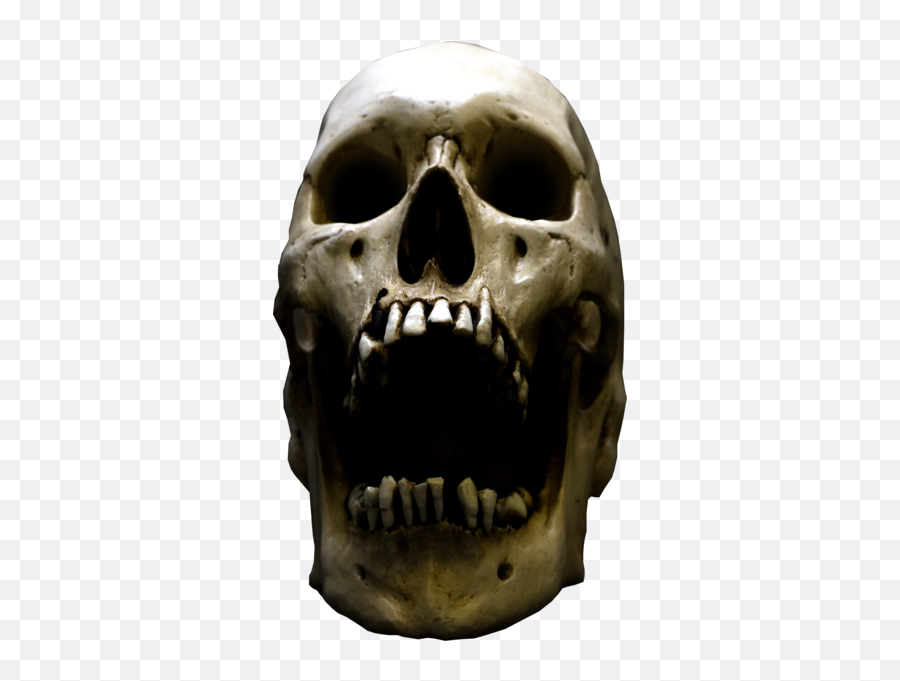 Download Grunge Real Skull - Human Skull With Open Mouth Skull Png,Human Skull Png