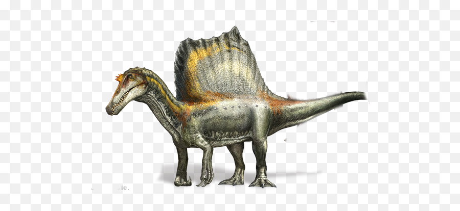 Download Hd Spinosaurus Four Legs - Jp3 Spinosaurus A Hybrid Png,Spinosaurus Png