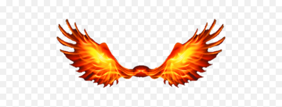 Fire Wings Png Transparent Images - Fire Wings Png,Fire Wings Png