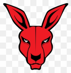 Kangaroo Sports Club - Georgia Kangaroos Png,Kangaroo Logo