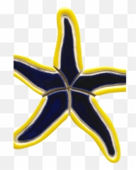 Online Source To Starfish Series Pool - Starfish Png,Blue Starfish Logo