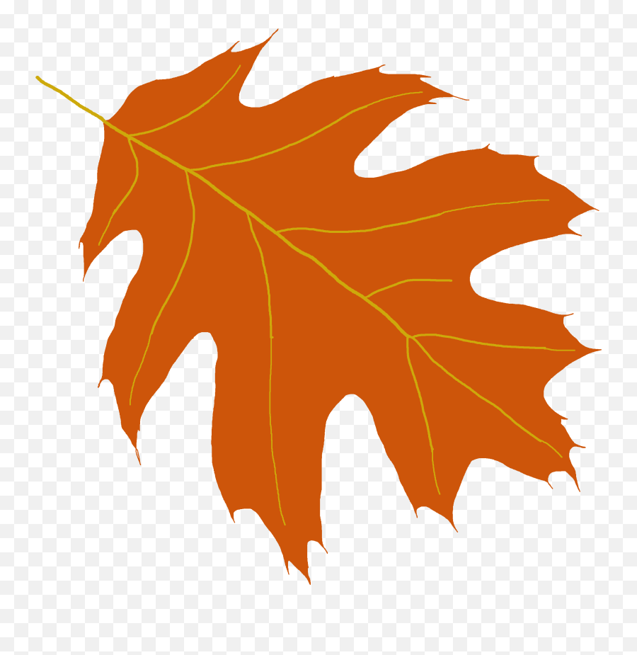 Free Oak Leaf Png Download Clip - Transparent Oak Leaf Clipart Png,Oak Leaf Png