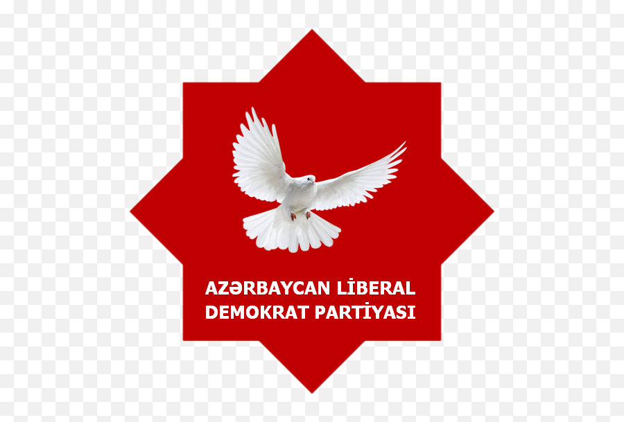 Azerbaijani Liberal Democrat Party - White Dove Png,Democrat Png