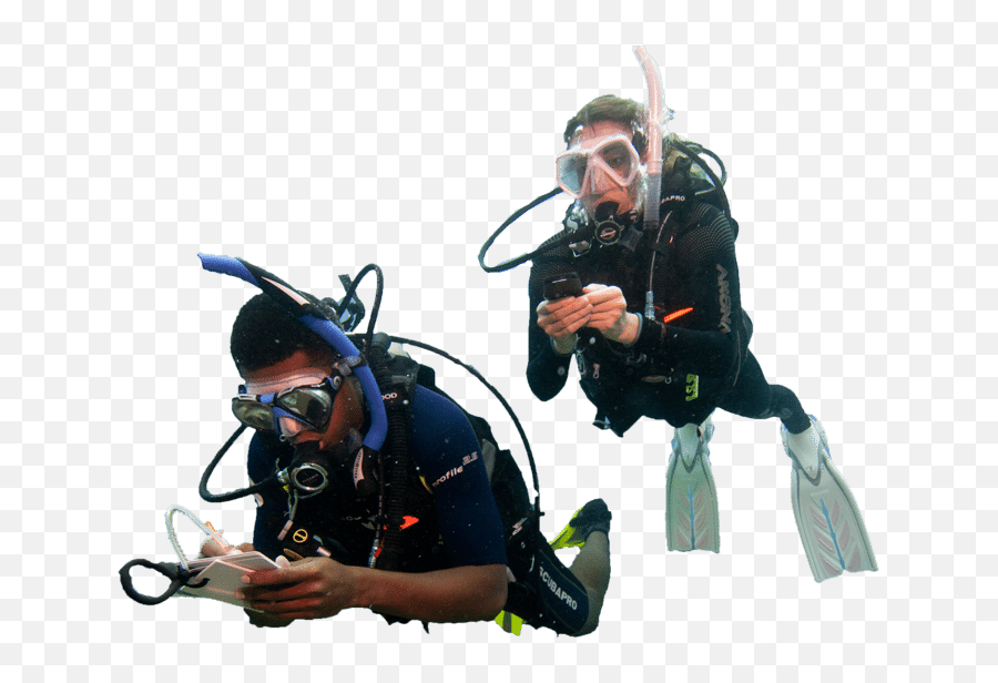Scuaba Diver Png Transparent Image - Diver,Diver Png