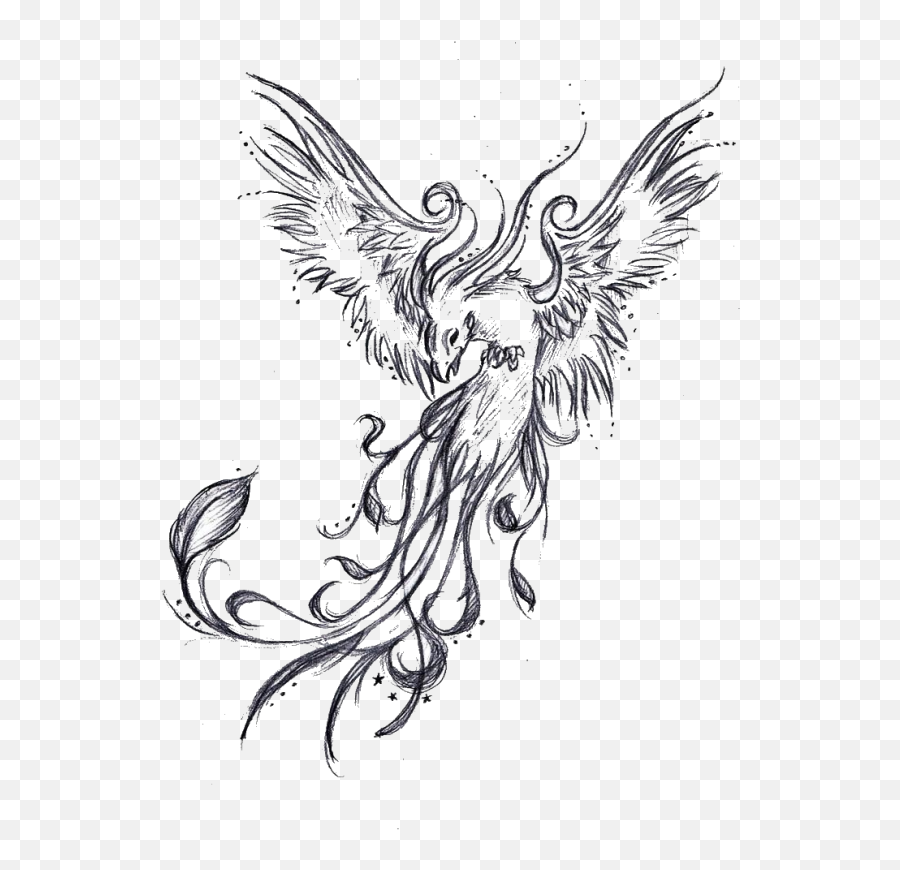 Tattoo Phoenix Sleeve Legendary Drawing Creature U2013 Free Png - Phoenix Tattoo Sketch,Transparent Tattoo Sleeves Png