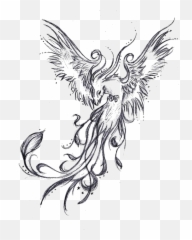 Tattoo Phoenix Sleeve Legendary Drawing Creature U2013 Free Png - Sketch